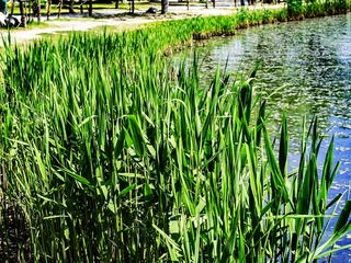 _4150428-HDR