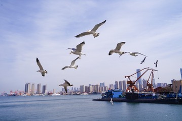 E8154381-3141-4A26-AED5-5FCE2044DAE8/L0/001