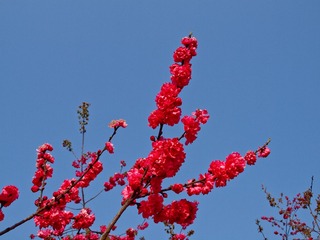 20110312-08