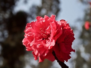 20110312-09