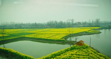 荆州6