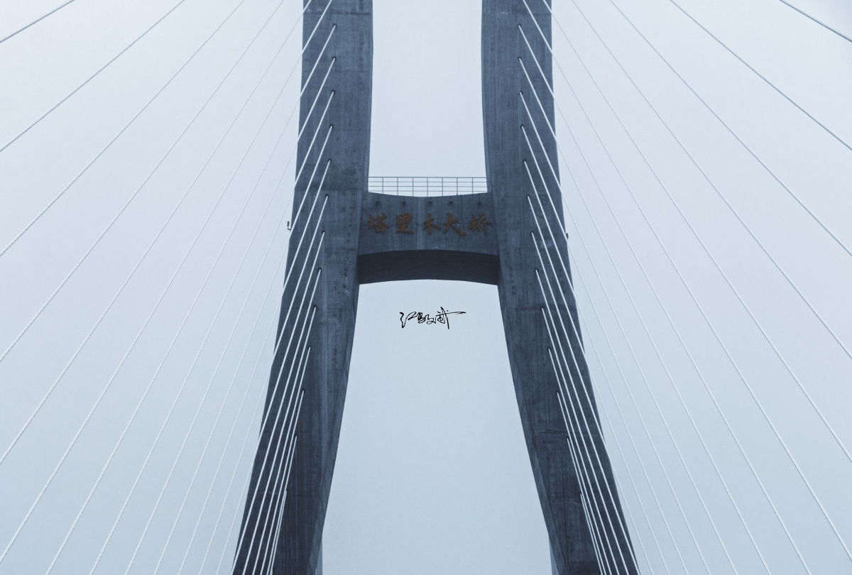 总是眺望着远处的天涯忘记了欣赏眼前的风景塔里木大桥