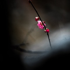 001