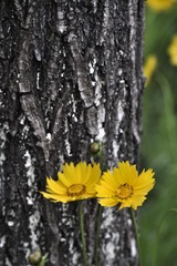 _DSC3523