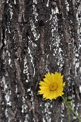 _DSC3547