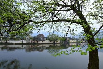 0E7A0509-01 拷贝2