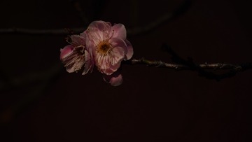 14012