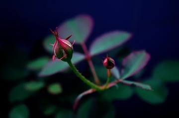 IMGP0001_