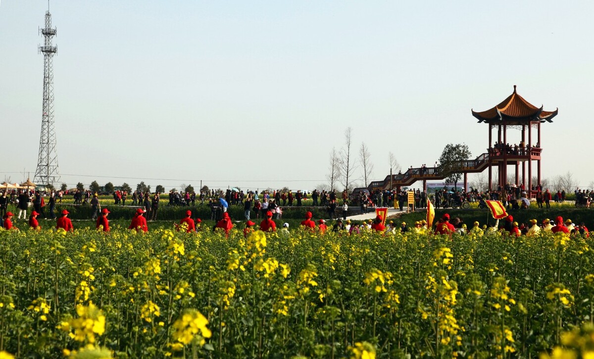 中国沙洋油菜花旅游盛景,荣获全国第二名。<br />
<br />
无声拍摄于湖北荆门沙洋境内。