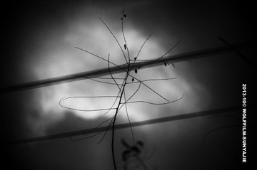L1009760