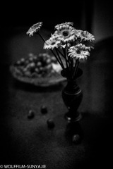 L1003164