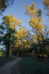 IMG_4238-1