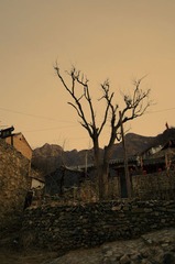 _BAR1372a
