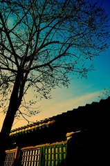 _BAR1077a