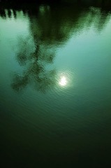 _ARG9602a
