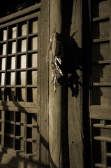 _BAR1055b