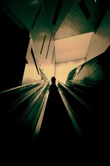_BAR2044a