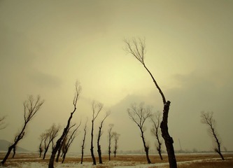 _BAR3944a