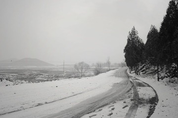 _BAR3988a