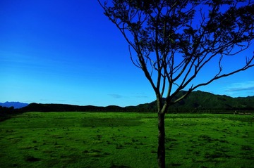 _ARG4805a