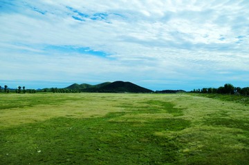 _ARG6529a