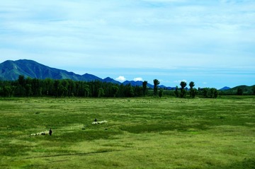_ARG6532a