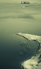 _BAR5936a