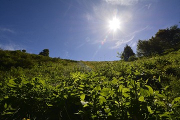 _DSC2504