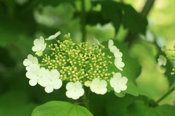 033