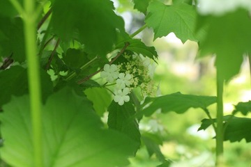 035