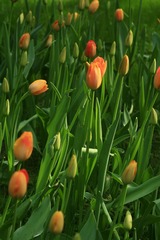 038
