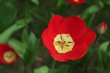 040