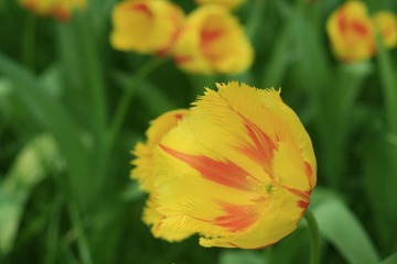 046