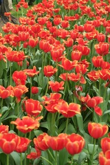 048