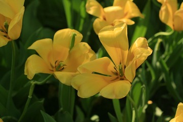 050