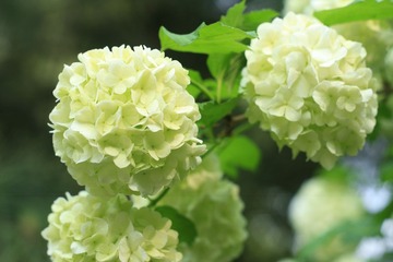 054