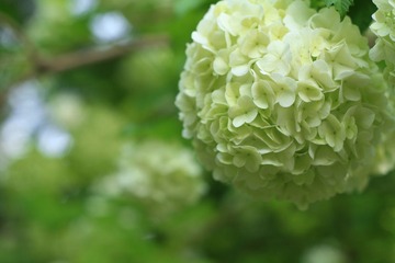 055