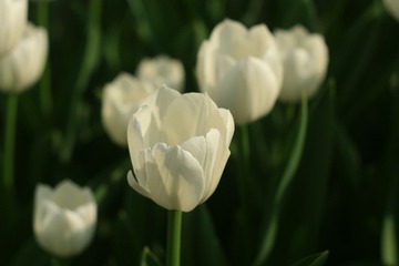059