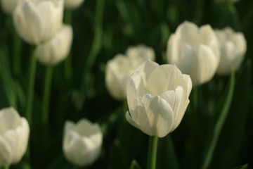 060