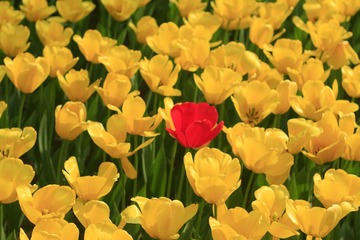 061