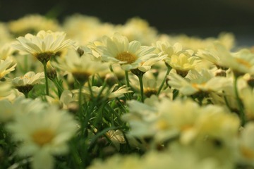 063