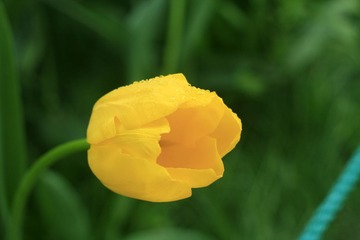 066