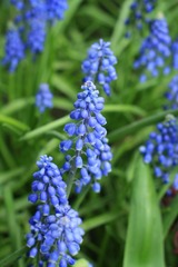 068