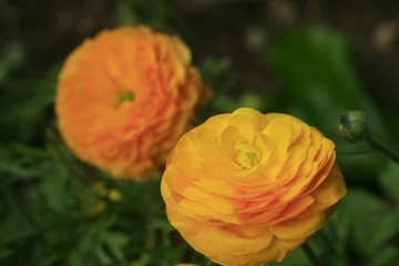 072