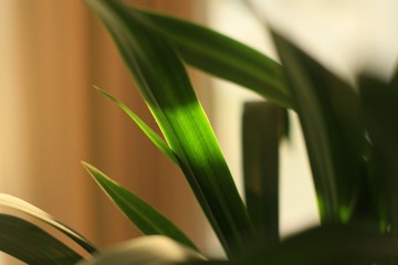 080