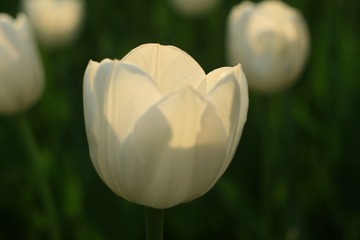 086
