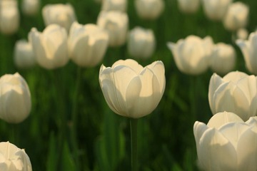 087