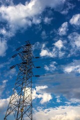 IMG_3906__