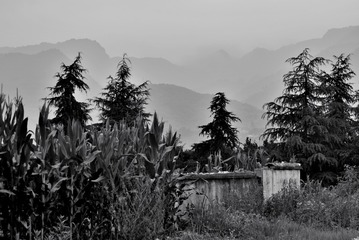 DSC_0053_123199