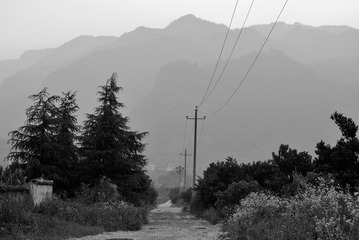 DSC_0052_123198